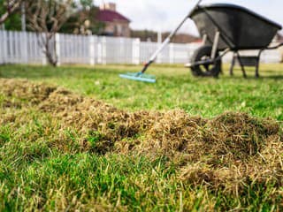Trávnik a rýchle riešenia kríz: Čo s holými miestami, plesňou a machom?
