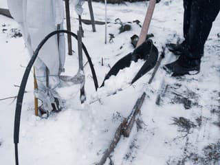 Čomu sa vyhnúť v decembri: 8 chýb, ktoré robia v zime záhradkári a pestovatelia najčastejšie