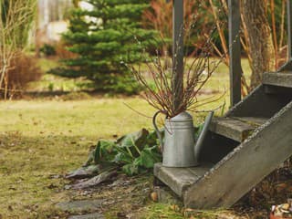 5 najčastejších chýb, ktoré robíme v marcovej záhrade