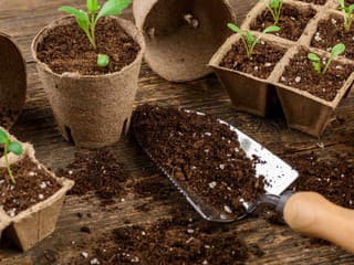 Substráty v obchodoch: Podľa čoho na jar vyberať a na čo si dať pozor?