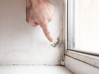 70 % domácností bojuje s týmto tichým nepriateľom. Zistite, ako ho zničiť skôr, než vám podlomí zdravie