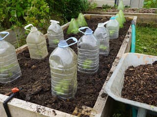 5 aprílových trikov, na ktoré skúsení záhradkári nedajú dopustiť