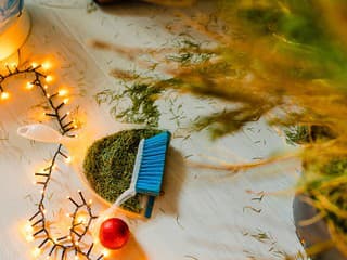 Stromček opadne ešte pred Vianocami, ak urobíte tieto 3 chyby!