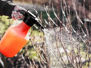 Kedy je správny čas vykonať predjarný postrek a proti čomu účinkuje