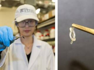 Vedci vytvorili roboty z uzlov. Nemajú motor ani batériu, no po zahriatí vyskočia takmer dva metre vysoko