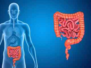 Prečo liečba depresie niekedy zlyháva? Vedci upozorňujú na prehliadanú úlohu čriev a mozgových spojení