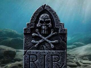 Ako vznikli ryby, ktoré dnes žijú na Zemi: Začalo sa to masovým vymieraním, hovoria vedci