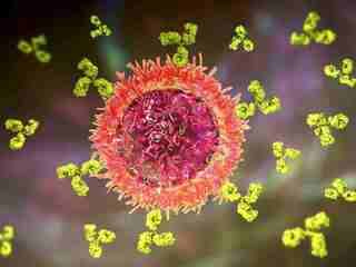 CAR-T terapia prvýkrát zabrala pri troch ťažkých autoimunitných ochoreniach naraz. Žena po rokoch transfúzií už nepotrebuje liečbu