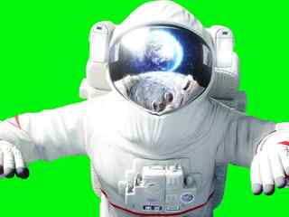 Misia Artemis II spustila prvé konšpirácie: Časť ľudí si myslí, že NASA celý let sfalšovala, toto sú ich argumenty