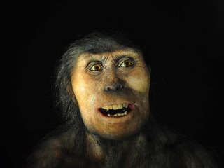 Pôvod človeka nemusí byť príbehom jednej kolísky. Nová DNA analýza ukazuje, že vznik Homo sapiens bol zložitejší, než nás učili