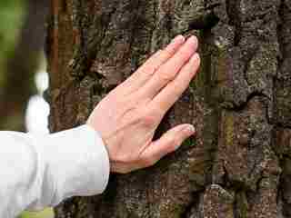Žiješ v evolučnej pasci. Ľudia sú stvorení pre prírodu, nie pre moderný život. Následky na zdraví vidíme každý deň, hovoria vedci