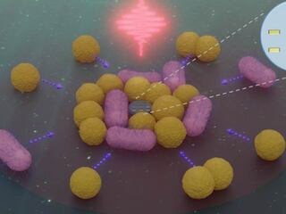 Je 50-krát menší než ľudský vlas. Vedci vytvorili nanorobota, ktorý dokáže „zbierať“ baktérie