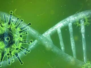 Stojíme na prahu novej generácie liekov? Vedci odhalili slabé miesto vírusov, infekcia sa zastaví ešte predtým, než začne