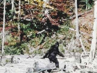 Bigfoot ako lož storočia? Nový film spochybňuje najslávnejší dôkaz o jeho existencii. Objavil sa záber, ktorý mení celý príbeh