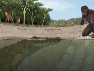 Krokodíl s čudným nosom lovil našich predkov. Lucy sa musela pri vode pozerať nielen pred seba, ale aj za seba