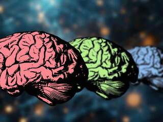 Toto mení pohľad na ľudský život. Mozog má päť vekov a každý nesie svoje riziká. V týchto rokoch pocítiš najväčšie zmeny