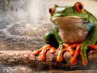 Vedci varujú, že AI vplýva na ľudí podobne ako efekt „varenej žaby“. Ak pri jej používaní pociťuješ toto, nie je to dobrý signál