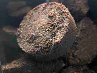 Kávová usadenina v stenách domu? Vedci z nej vytvorili nový izolant, ktorý sa výkonom priblížil polystyrénu