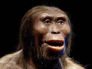 Nová fosília Homo erectus je o 200-tisíc rokov staršia než známe dospelé nálezy z Dmanisi