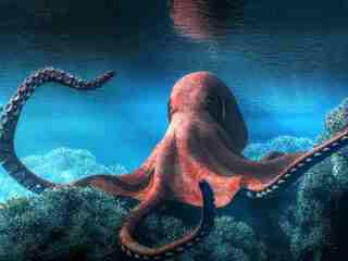 Bol Kraken skutočný? Vedci našli stopy po obrej chobotnici, ktorá mohla pred 100 miliónmi rokov vládnuť oceánom