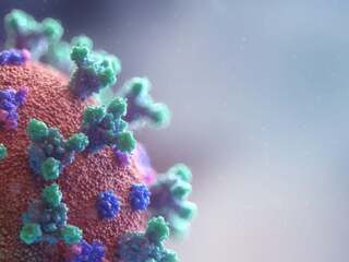Vedci sú na stope lieku, ktorý by mohol zastaviť takmer každý vírus. Inšpirovali sa počítačmi