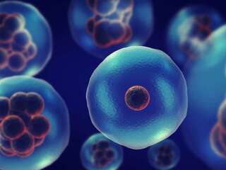 Celý život sme sa mýlili. Smrť nie je koniec, vedci objavili úplne nový stav života buniek