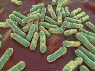 Muž vošiel do mora s malou ranou, o tri dni prišiel o nohu. „Mäsožravá“ baktéria sa šíri aj do dovolenkových oblastí