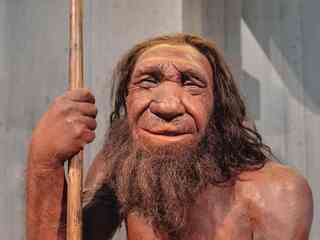 Neandertálsky gén v nás stále pracuje. Niektorým ľuďom pridáva svaly aj výšku