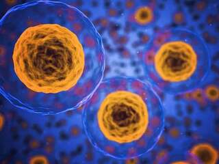 Vedci našli spôsob, ako reštartovať imunitný systém. Telo sa správalo, akoby bolo mladšie