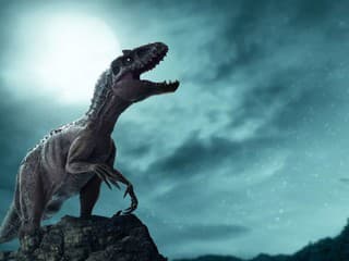Boli dinosaury teplokrvné? Štúdia naznačila, kedy sa u nich mohla táto vlastnosť objaviť