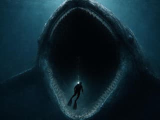 Príbehy o človeku prehltnutom veľrybou sú staré ako ľudstvo samo: Môže sa niečo také udiať v praxi?