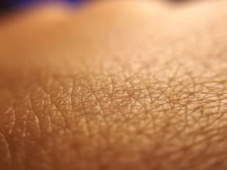 Nová technika „prepísania“ veku kožných buniek: Už iba krok nás delí od oveľa dlhšej mladosti