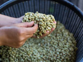 Zdravšia ako tá bežná: Takto spracovaná káva nakopne metabolizmus a ochráni srdce