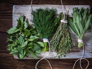 Zdravé srdce, trávenie a vitamínová bomba: Tieto bylinky nesmú chýbať vo vašej jarnej kuchyni