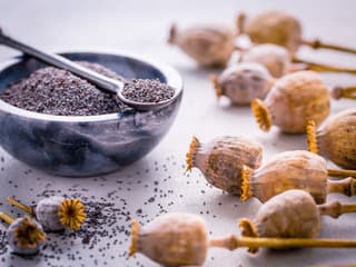 Jadna z najunikátnejších potravín z našich končín: Ľahko môžete jej výživovú hodnotu zničiť!