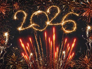 Stres zo silvestrovskej pyrotechniky? Toto pomôže vám i vášmu psíkovi