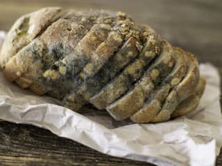 Čo sa stane, ak zjete plesnivý chlieb? Toto