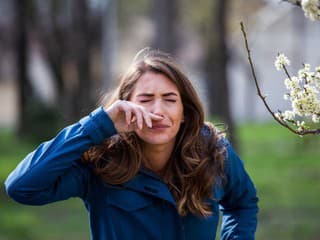 Jarné alergie môžete zvládnuť aj s pomocou tradičných medicín: Ako zmierniť kýchanie a opuch sliznice podľa ajurvédy a TČM?