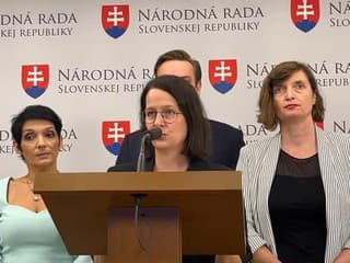 Tk strany PS na tému: Plagiátor Susko