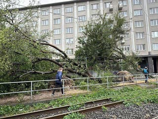 Pri obchodnom centre Central vyvrátilo stromy