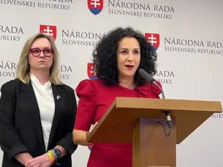 Tlačová konferencia Progresívneho Slovenska z NR SR: Situácia v slovenskej kultúre