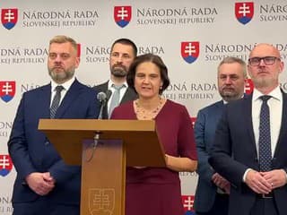 Tlačová konferencia strany SaS na tému Ako robí Boris Susko realitný biznis