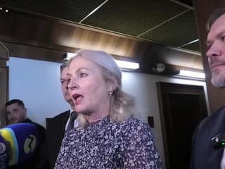 Výbor k výsledkom GP ohľadom zvýšenej ekonomickej činnosti sa nekonal - reakcia opozície