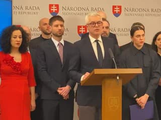 Tlačová konferencia Progresívneho Slovenska na tému: Čo sa nezmestilo na rokovanie vlády