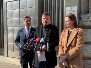 Tlačová konferencia strany SaS na tému: trestné oznámenie na Martinu Šimkovičovú