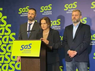 Tlačová konferencia strany SaS na tému: Zlyhania ministra spravodlivosti Borisa Suska pri rozpočte a pláne obnovy