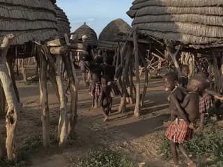 Ekotopfilm Tour mieri do Petržalky: Každý potrebuje svoj kmeň