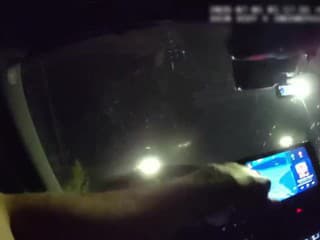 Polícia obvinila dvoch Poliakov, mali ukradnúť kapoty luxusných áut