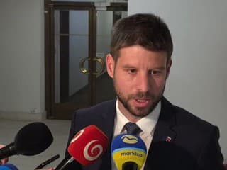 Vyjadrenie Michala Šimečku k hlasovaniu o sankciách Rusku