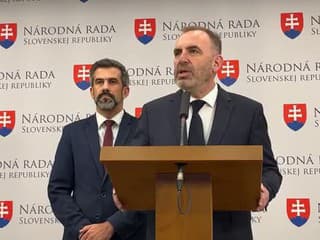 Tlačová konferencia strany Progresívne Slovensko ku konsolidácií, energopomoci a šafáreniu s eurofondami
